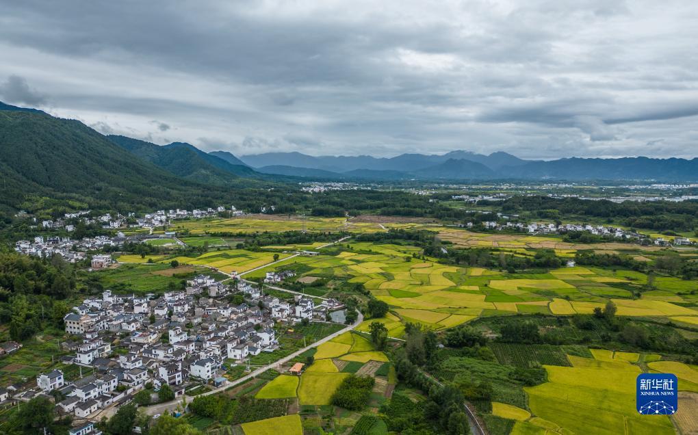 百万大赢家